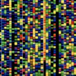 The Download: Google DeepMind’s DNA AI ، و Heatwaves ‘على الشبكة