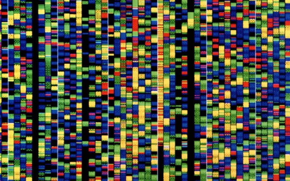 The Download: Google DeepMind’s DNA AI ، و Heatwaves ‘على الشبكة