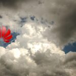 تقرير حول فوز Huawei Cloud بتقدير Gartner في إدارة الحاويات