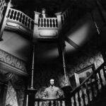لماذا تعتبر شركة AMORMAND AMANTUP المدعومة من AMARSON MAING ORSON WELLES FAN FICTION؟