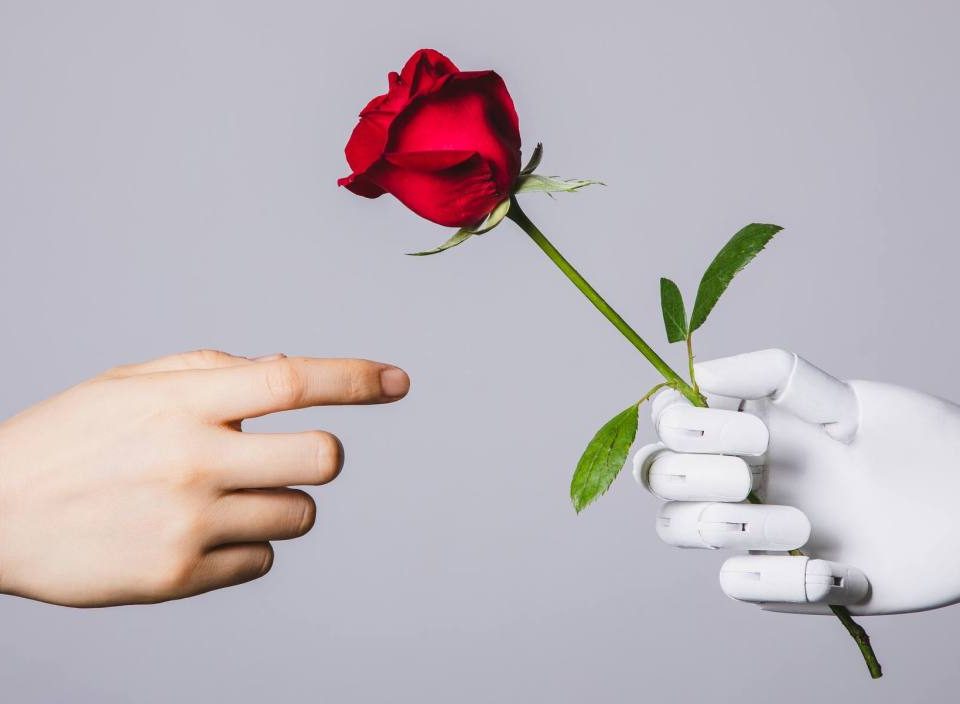 human hand reaching for red rose in robotic hand