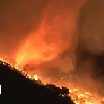 صورة من ChatGPT تلقي القبض على مشتبه به في حريق باسيفيك باليسيدز المميت: الذكاء الاصطناعي في قلب التحقيقات الجنائية