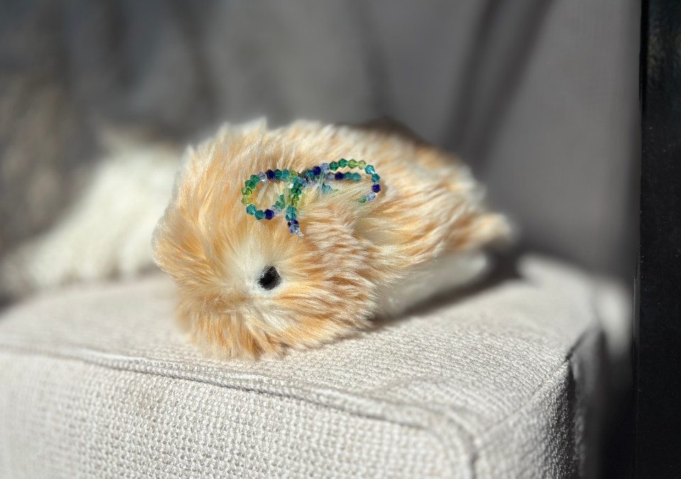 قضيت شهرًا أعيش مع حيوان أليف يعمل بالذكاء الاصطناعي بقيمة 430 دولارًا، وهو Casio Moflin