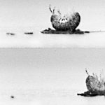 أسراب الروبوتات: مستقبل الذكاء الاصطناعي الجماعي