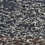 خبراء المالية الكمية يرون أن خريجي الجامعات غير مؤهلين لمستقبل الذكاء الاصطناعي