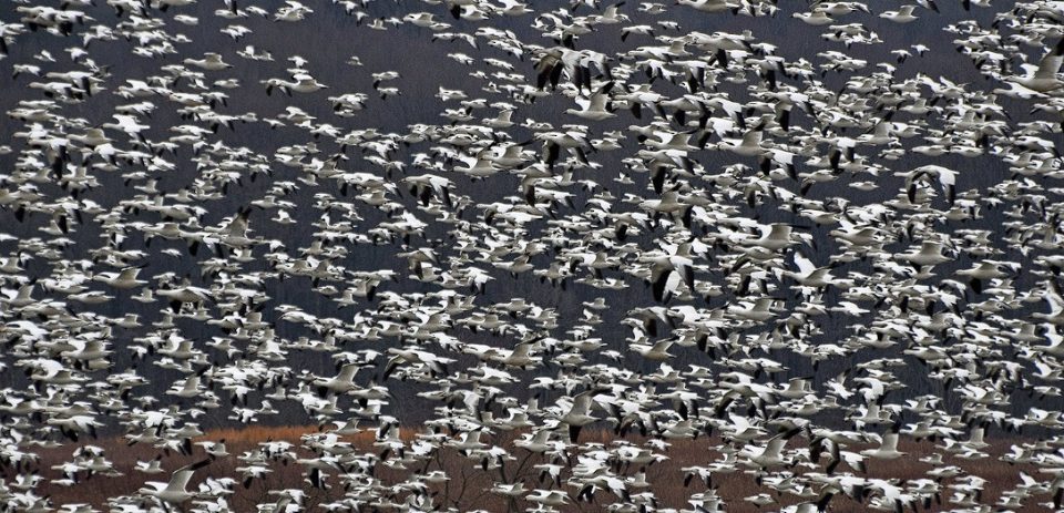 خبراء المالية الكمية يرون أن خريجي الجامعات غير مؤهلين لمستقبل الذكاء الاصطناعي