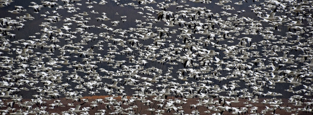 خبراء المالية الكمية يرون أن خريجي الجامعات غير مؤهلين لمستقبل الذكاء الاصطناعي