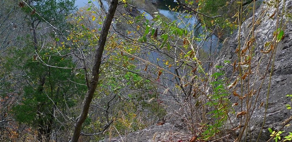 200 ألف ترخيص: كيف تطلق شركات الخدمات الهندية أضخم موجة تبني للذكاء الاصطناعي التوليدي في العالم