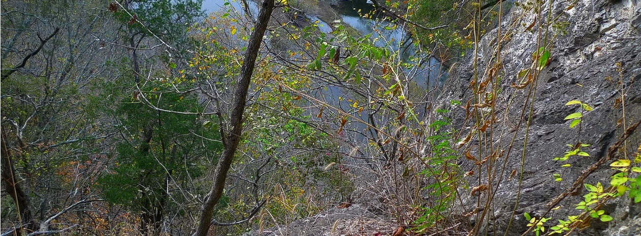 200 ألف ترخيص: كيف تطلق شركات الخدمات الهندية أضخم موجة تبني للذكاء الاصطناعي التوليدي في العالم