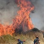 كلاب آلية وطائرات مسيرة: ثورة الذكاء الاصطناعي واتصال 6G في الكشف المبكر عن الحرائق البرية