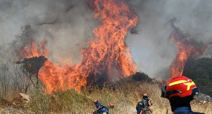 كلاب آلية وطائرات مسيرة: ثورة الذكاء الاصطناعي واتصال 6G في الكشف المبكر عن الحرائق البرية