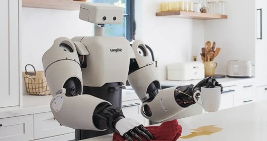 الروبوتات المنزلية: هل يمكن أن تكون مساعدات حقيقية في الحياة اليومية؟